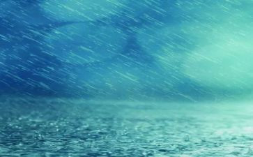 春天的雨200字作文最新7篇