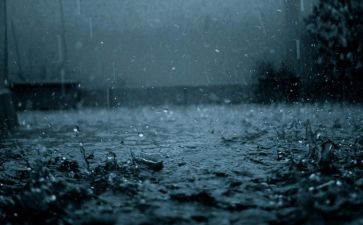 雨中趣事作文6篇