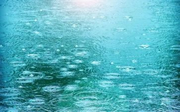 幼儿园大班雨的教案优秀8篇