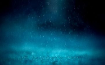 写春雨的作文600字8篇