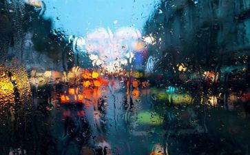 小学生关于雨的作文参考7篇