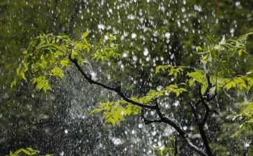 中班糖果雨教案8篇