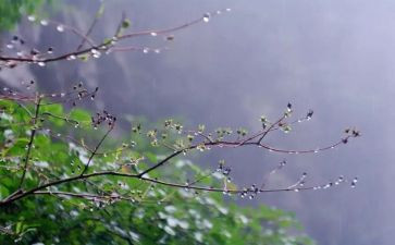 余秋雨文化苦旅读后感5篇