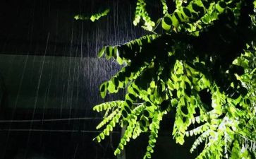 雨中感动的我作文优秀6篇
