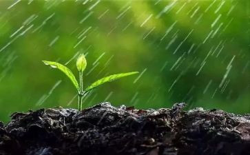 幼儿园大班雨的教案参考8篇