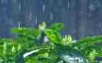 关于雨来的演讲稿通用6篇
