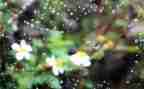 有关雨来的演讲稿300字通用8篇
