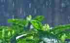 二年级写春雨的作文推荐7篇