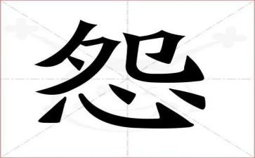 不抱怨作文800字5篇