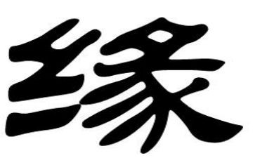 我的饺子缘作文模板8篇
