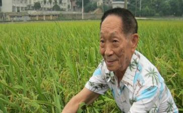 袁隆平作文500字模板8篇