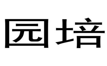 幼儿园培训计划8篇
