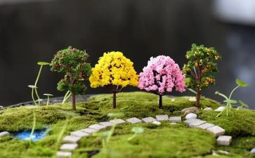 2024校园艺术节活动方案精选5篇