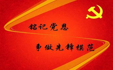 预备党员党员个人总结6篇