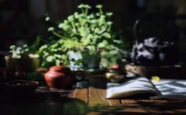小i阅读活动总结推荐6篇