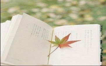 2024年群文阅读心得体会8篇