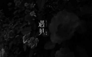 我遇见____作文优质6篇