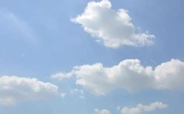 清明节云祭扫活动总结7篇