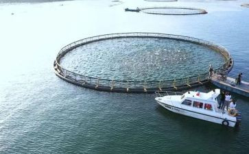 渔业安全总结6篇