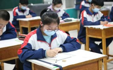 在校学生个人总结5篇