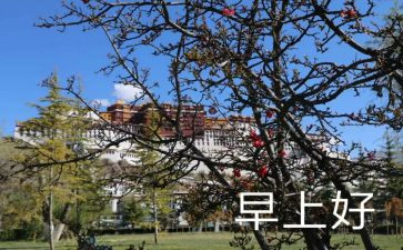 早教感恩节活动策划8篇