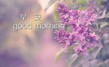 早房子读后感5篇