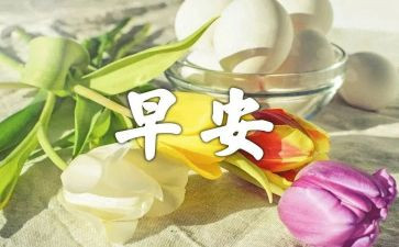 早教活动活动方案参考5篇