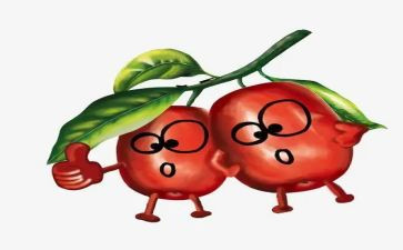 枣读后感300字通用8篇