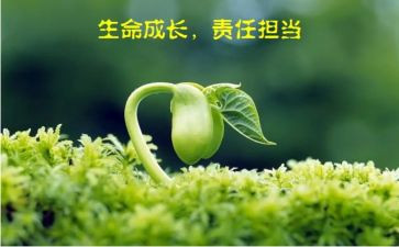扛责任作文参考5篇