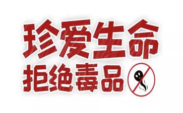 张子权事迹心得体会推荐5篇
