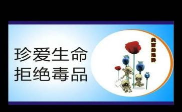张子权事迹心得体会参考8篇