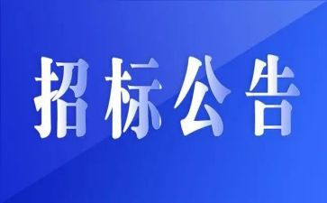 工程招标工作个人总结7篇