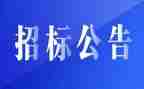 工程招标工作个人总结7篇