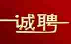 2023招聘工作总结精选5篇