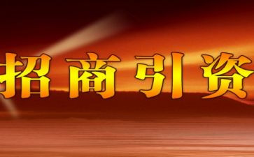 招商工作总结个人范文7篇