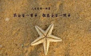 哲理句作文通用5篇
