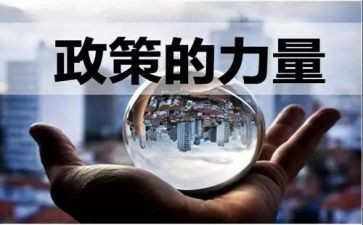 学校政策工作计划6篇