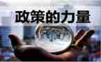 学校政策工作计划6篇