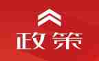 双减政策下的心得体会优秀5篇