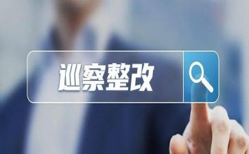 316整改报告模板6篇