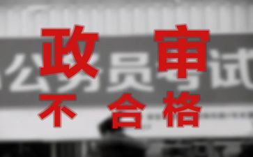 最新政审个人总结8篇