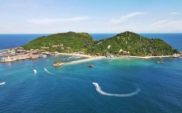 真实的心得体会7篇