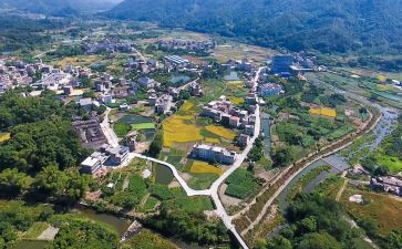 乡村振兴月工作计划8篇