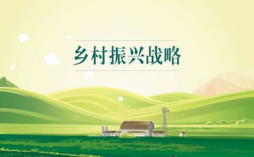 乡村振兴2024年工作总结6篇