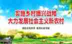 乡村振兴汇报工作汇报范文6篇