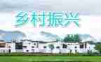 帮扶村乡村振兴工作计划6篇