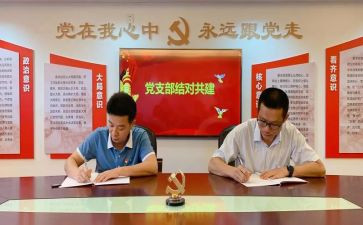 党支部半年度总结报告7篇