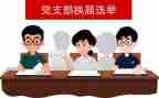 村党支部换届工作总结7篇