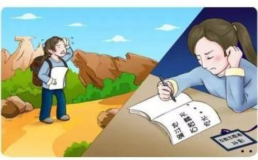 支教心得体会优质5篇