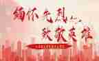 向抗疫英雄致敬心得8篇